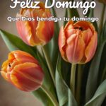 feliz domingo que dios bendiga tu domingo