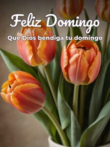 Imágenes animadas de feliz domingo para celular
