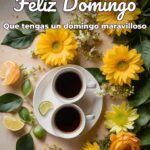 feliz domingo que tengas un domingo maravilloso