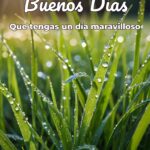 buenos días que tengas un día maravilloso