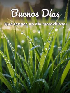 Imágenes bellas con frases de buenos días para descargar