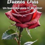 buenos días un buen día para ti, mi amor