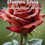 buenos días un buen día para ti, mi amor