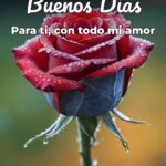 buenos días para ti, con todo mi amor