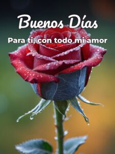 Imágenes bonitas buenos días amor