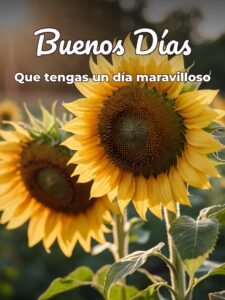 Imágenes bonitas d buenos días para celular
