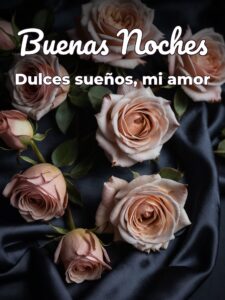 Imágenes bonitas de buenas noches amor para WhatsApp