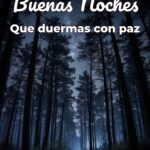 buenas noches que duermas con paz