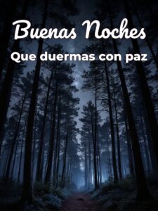 Imágenes bonitas de buenas noches con frases para WhatsApp