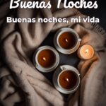 buenas noches buenas noches, mi vida
