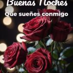 buenas noches que sueñes conmigo