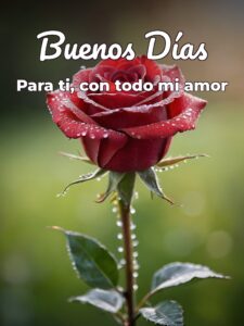 Imágenes bonitas de buenos días mi amor para descargar
