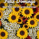 feliz domingo que hoy sea un gran domingo