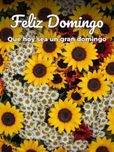 Imágenes bonitas de feliz domingo para celular