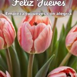 feliz jueves empieza tu jueves con alegría