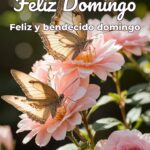 feliz domingo feliz y bendecido domingo