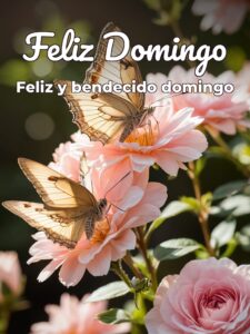 Imágenes bonitas del día domingo para celular