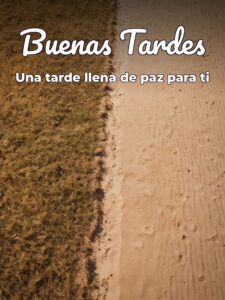 Imágenes bonitas para dar las buenas tardes para WhatsApp celular