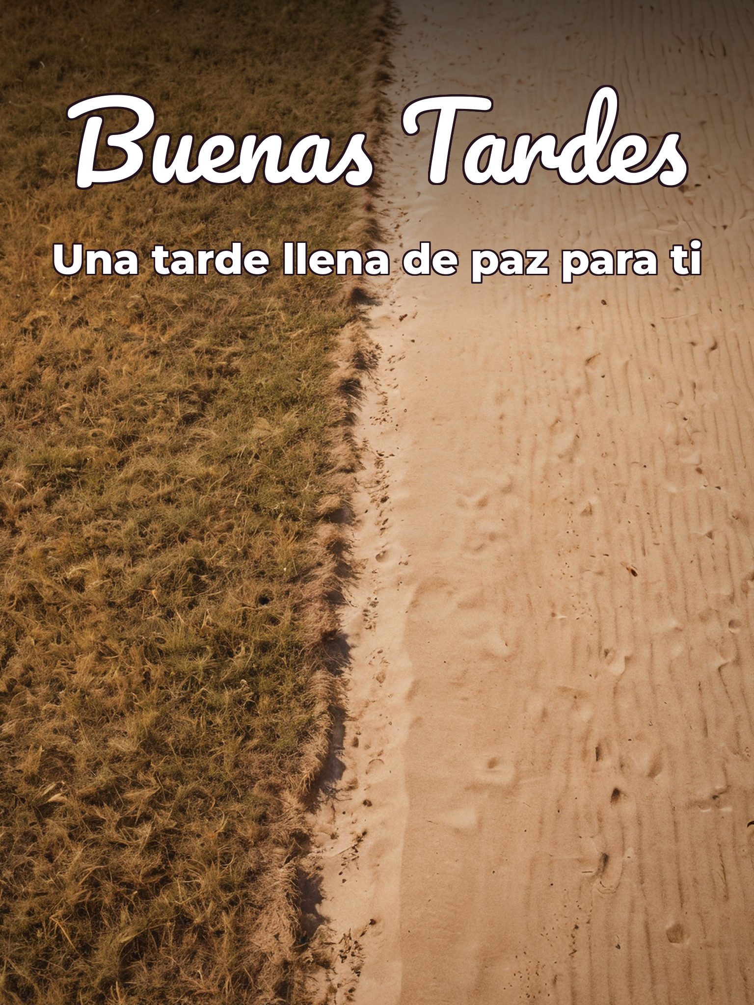 Imágenes bonitas para dar las buenas tardes para WhatsApp celular