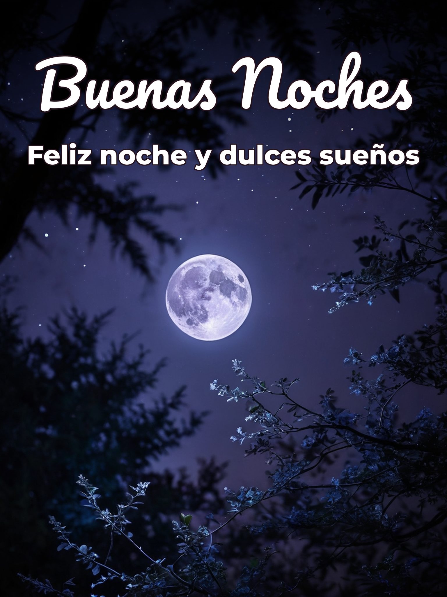 Imágenes bonitas para decir buenas noches para Facebook