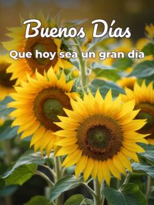 Imágenes bonitas para decir buenos días