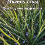 buenos días que hoy sea un gran día