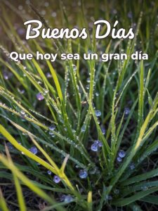 Imágenes bonitas para decir buenos días para celular