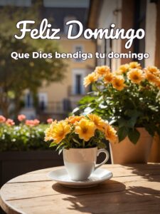 Imágenes bonitas para el domingo para celular