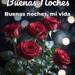 buenas noches buenas noches, mi vida