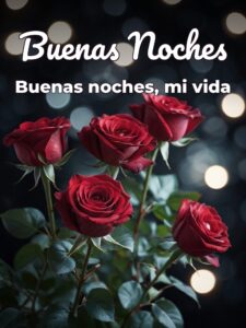 Imágenes buenas noches amor para Facebook