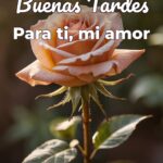 buenas tardes para ti, mi amor