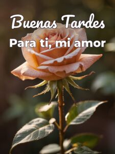 Imágenes buenas tardes mi amor para WhatsApp celular