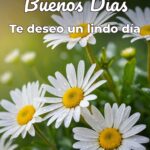 buenos días te deseo un lindo día