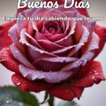 buenos días empieza tu día sabiendo que te amo