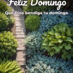 feliz domingo que dios bendiga tu domingo