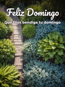 Imágenes catolicas de feliz domingo para celular