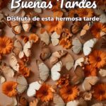 buenas tardes disfruta de esta hermosa tarde