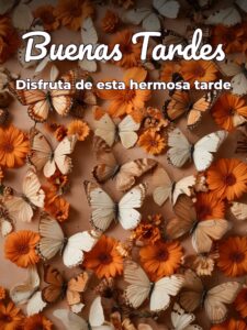 Imágenes chistosas de buenas tardes para Facebook y WhatsApp
