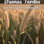 buenas tardes que tu tarde sea maravillosa