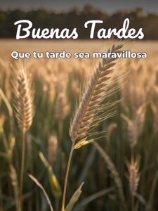 Imágenes chistosas de buenas tardes para WhatsApp celular