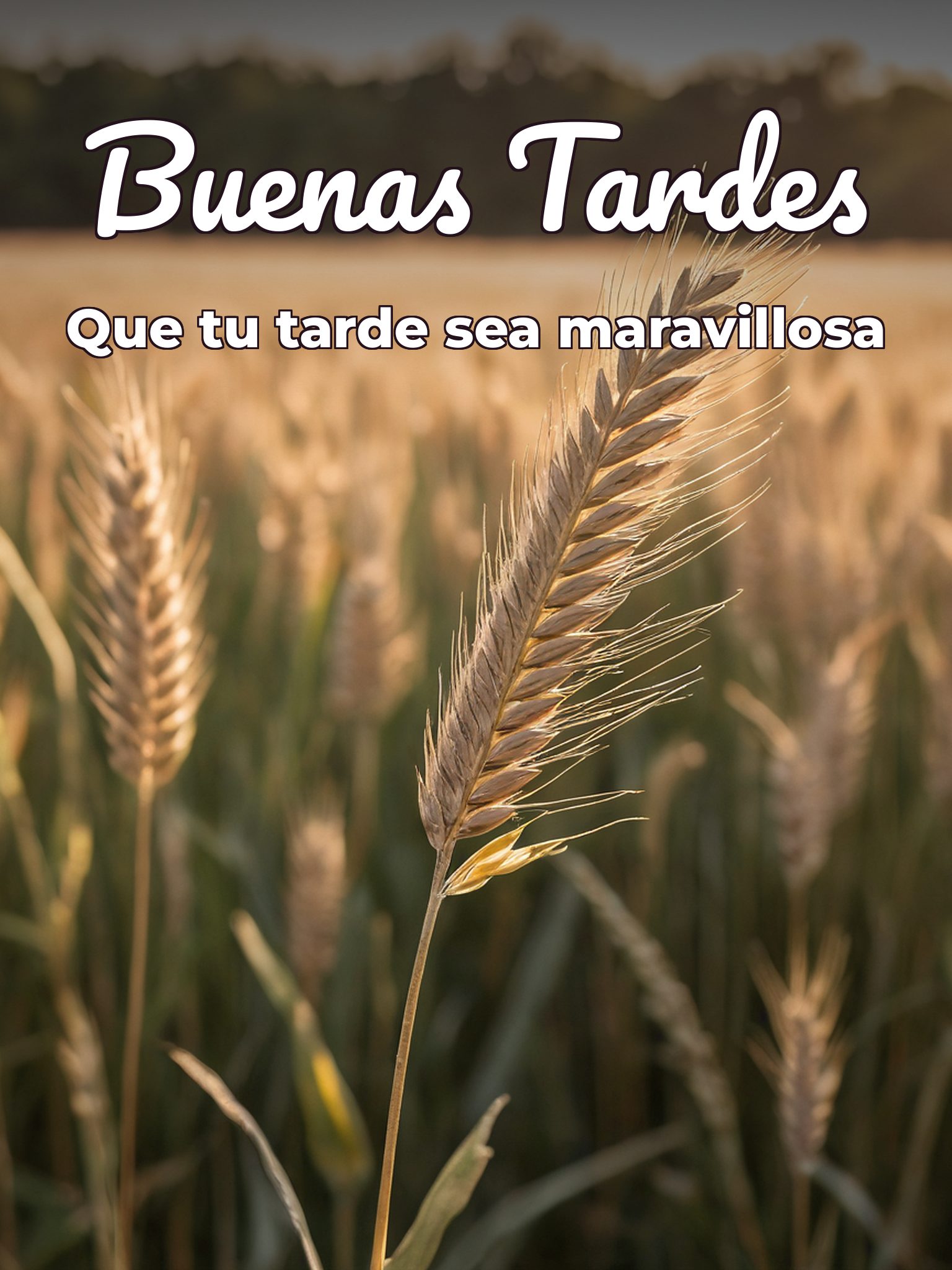 Imágenes chistosas de buenas tardes para WhatsApp celular