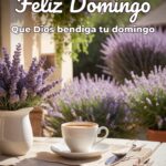 feliz domingo que dios bendiga tu domingo