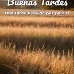 buenas tardes una tarde llena de paz para ti