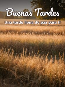 Imágenes con frases bonitas de buenas tardes para WhatsApp celular