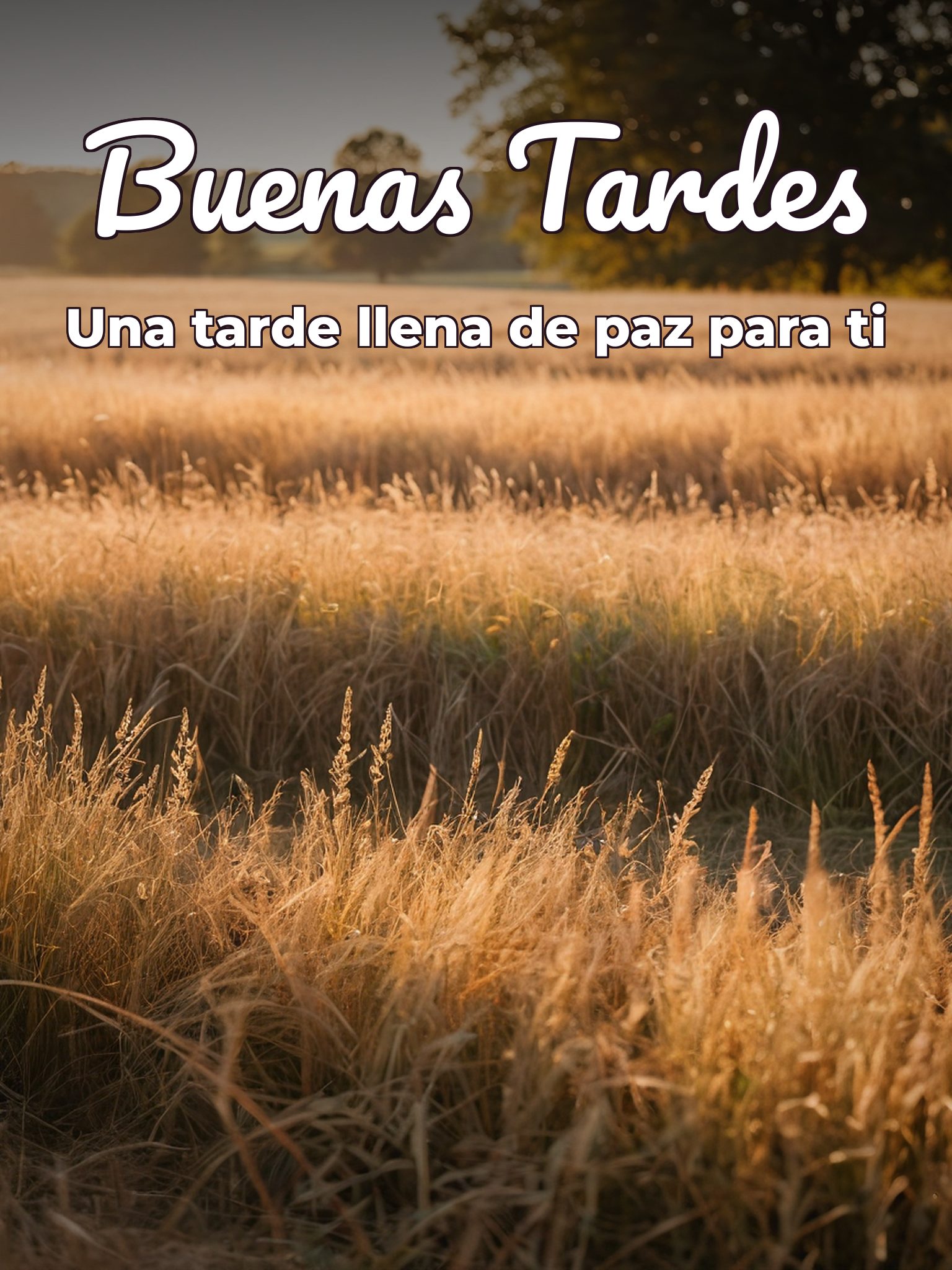 Imágenes con frases bonitas de buenas tardes para WhatsApp celular
