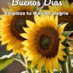 buenos días empieza tu día con alegría