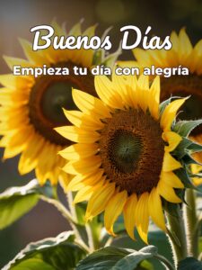 Imágenes con frases bonitas para dar los buenos días para Facebook