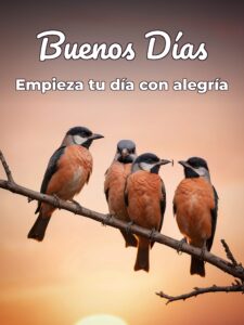 Imágenes con frases buenos días para celular
