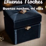 buenas noches buenas noches, mi vida