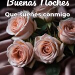 buenas noches que sueñes conmigo